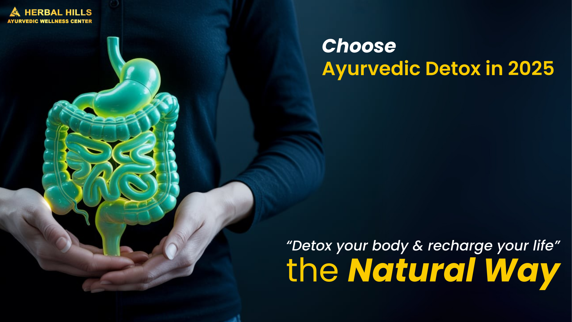 Ayurvedic detox concept with digestive system graphic – natural post-party cleanse for energy and wellness