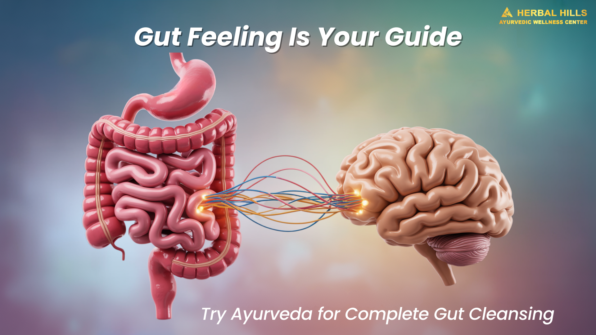 Illustration of gut and brain connection – Ayurvedic gut cleansing to improve digestion, mood, and immunity