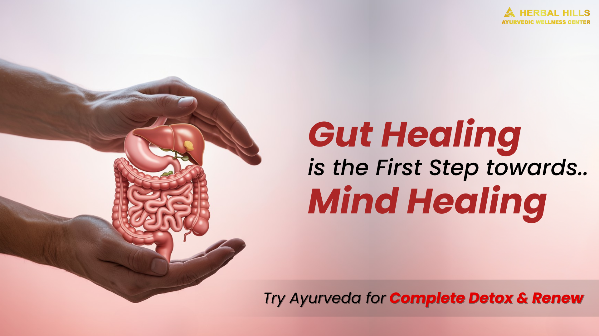 Hands holding a gut model with text about gut healing for emotional balance and mental wellness through Ayurveda