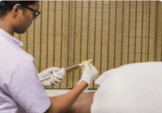 Niruha Basti – ayurvedic body cleansing treatment, Herbal Hills